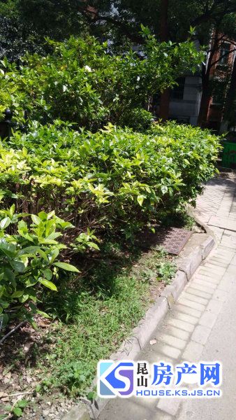 怡景湾
