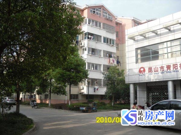柏庐实验小学！二中！通山新村！现浇房！景观楼层！随时可上学！有钥匙看房方便！